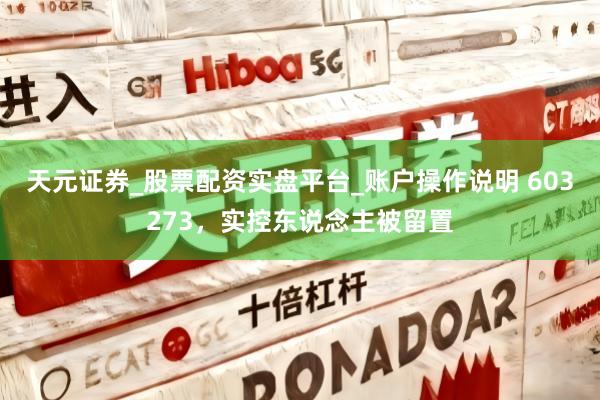 天元证券_股票配资实盘平台_账户操作说明 603273，实控东说念主被留置